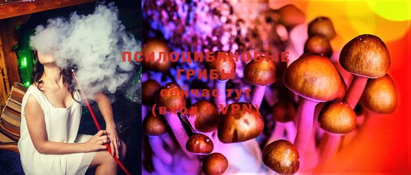 амф Алексеевка