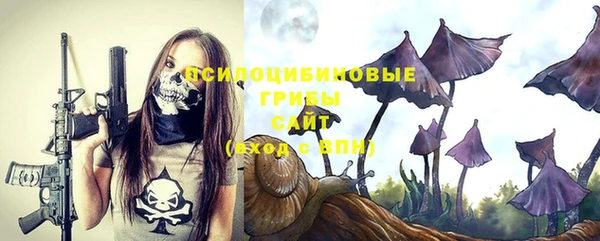 эйфоретик Алзамай