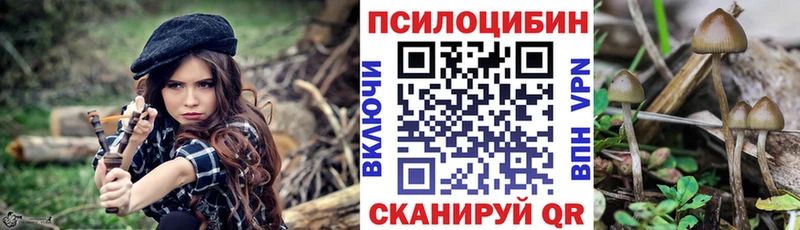 купить наркоту  Когалым  KRAKEN ссылка  Псилоцибиновые грибы ЛСД 